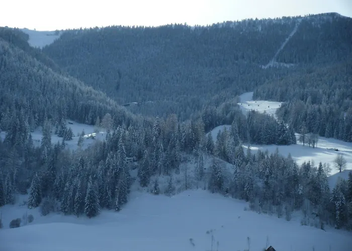 Haus Heimo * Bad Kleinkirchheim